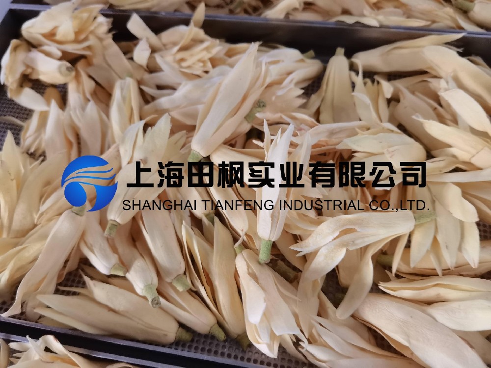 白玉蘭凍干，鮮花凍干機應用于白玉蘭真空冷凍干燥